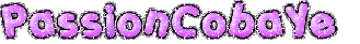 Pas de nouveau message